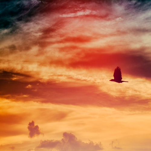 Internet insurance innovation